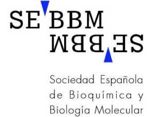 Logo SEBBM