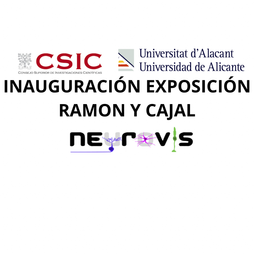INAUGURACIÓN EXPOSICIÓN: 