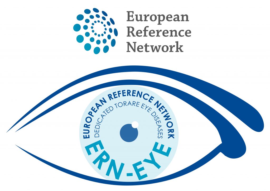 NEWSLETTER ERN-EYE JULIO