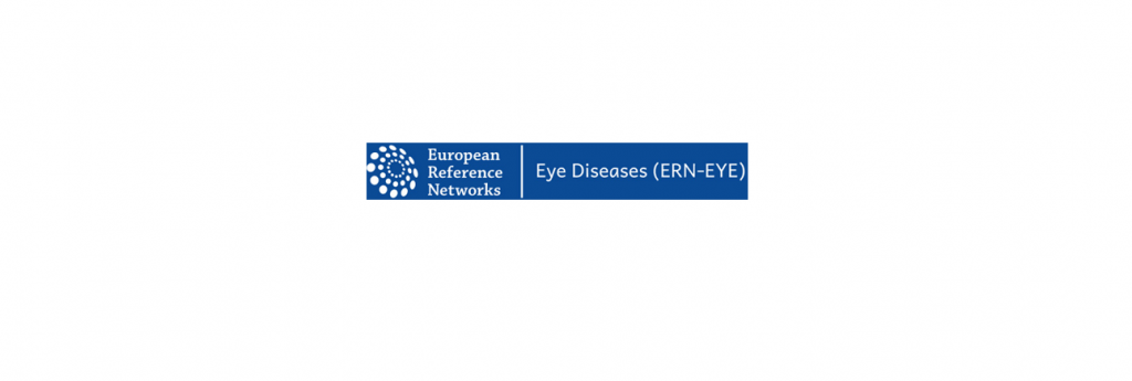 INVITACIÓN AL SEMINARIO WEB SOBRE RETINOBLASTOMA DE LA ERN-EYE (RED DEL OJO).