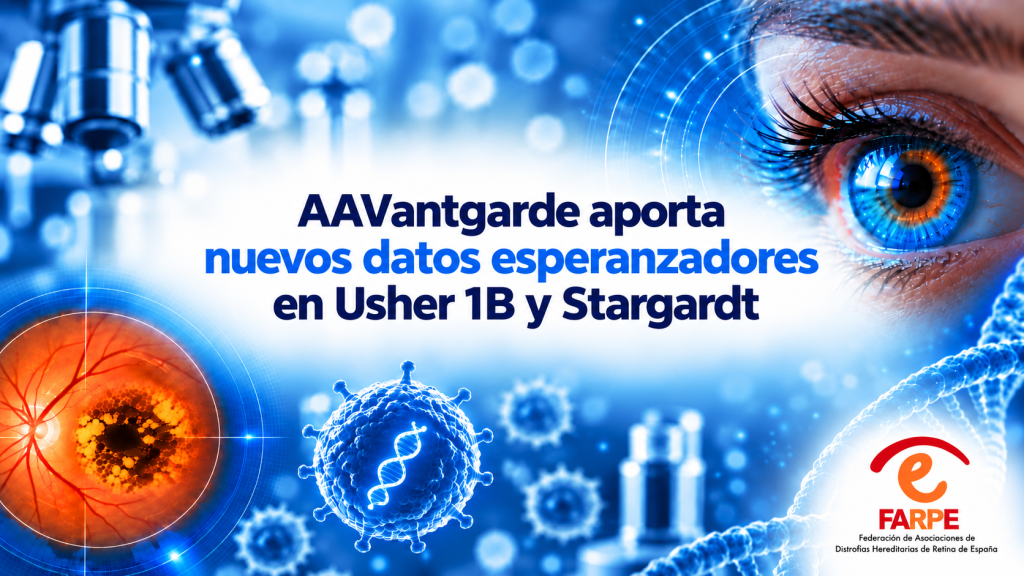 AAVantgarde aporta nuevos datos esperanzadores en Usher 1B y Stargardt