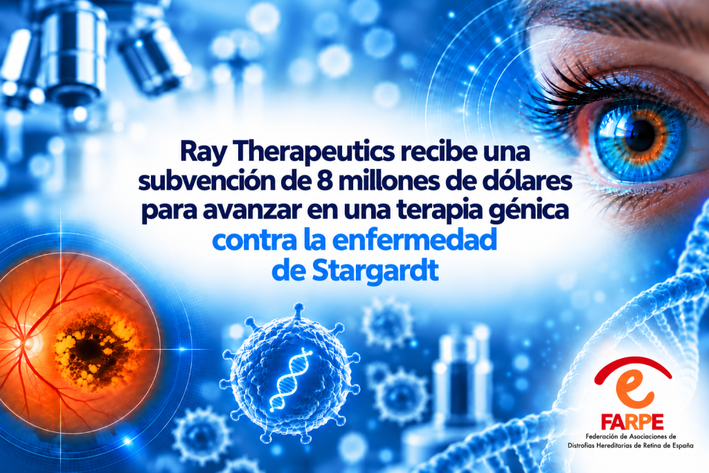 Una nueva financiación para avanzar en la investigación de la enfermedad de Stargardt
